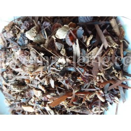  " COUP DE FOUET  " l'infusion qui réveille vos sens 